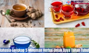 Rahasia Lengkap 5 Minuman Herbal Untuk Daya Tahan Tubuh