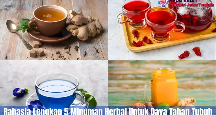 Rahasia Lengkap 5 Minuman Herbal Untuk Daya Tahan Tubuh