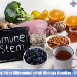 Pola Makanan yang Harus Dikonsumsi untuk Menjaga Imunitas : 5 Pilihan Yang Tepat