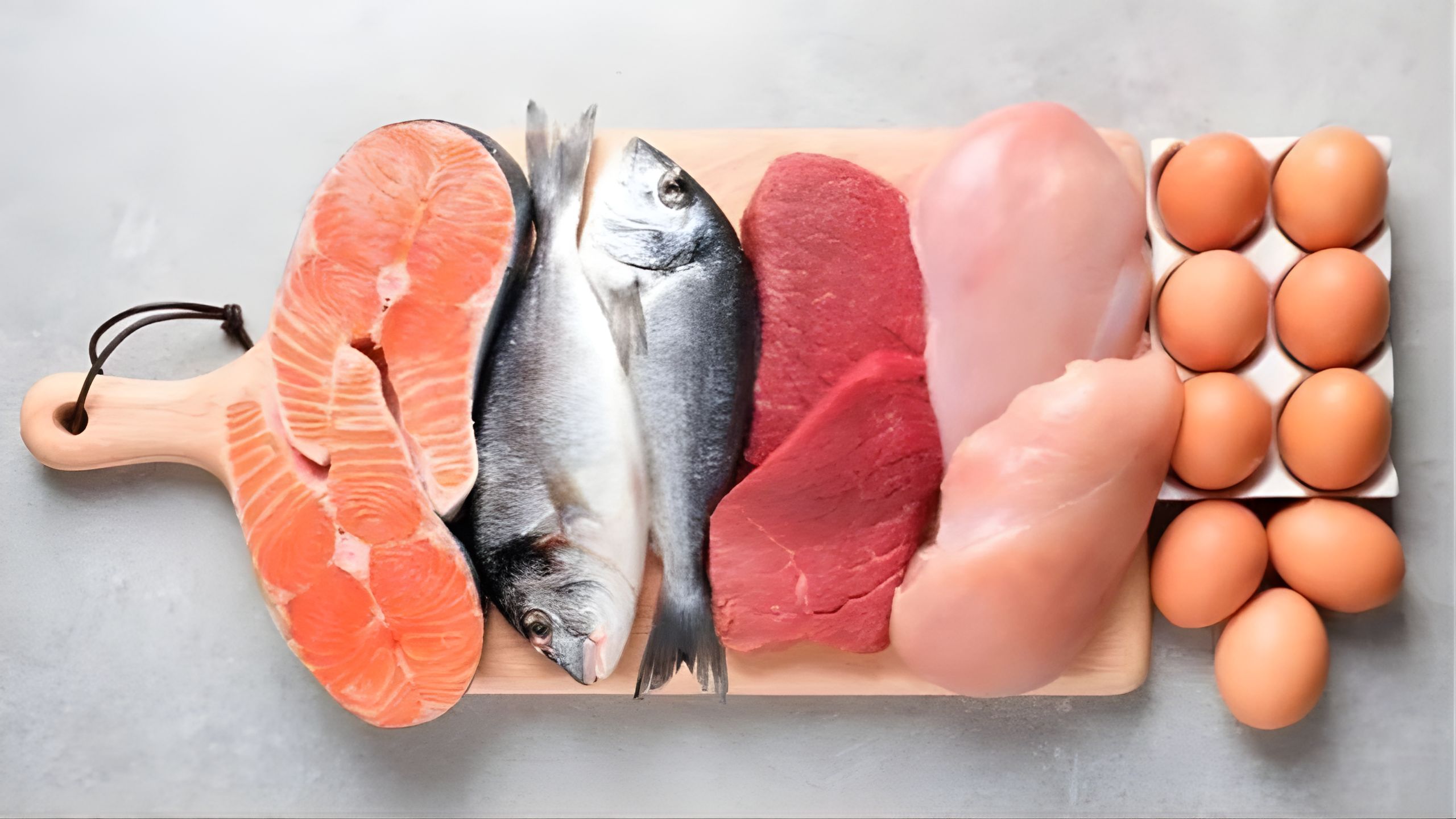 Pentingnya Protein Untuk Tubuh