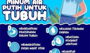 manfaat minum air putih