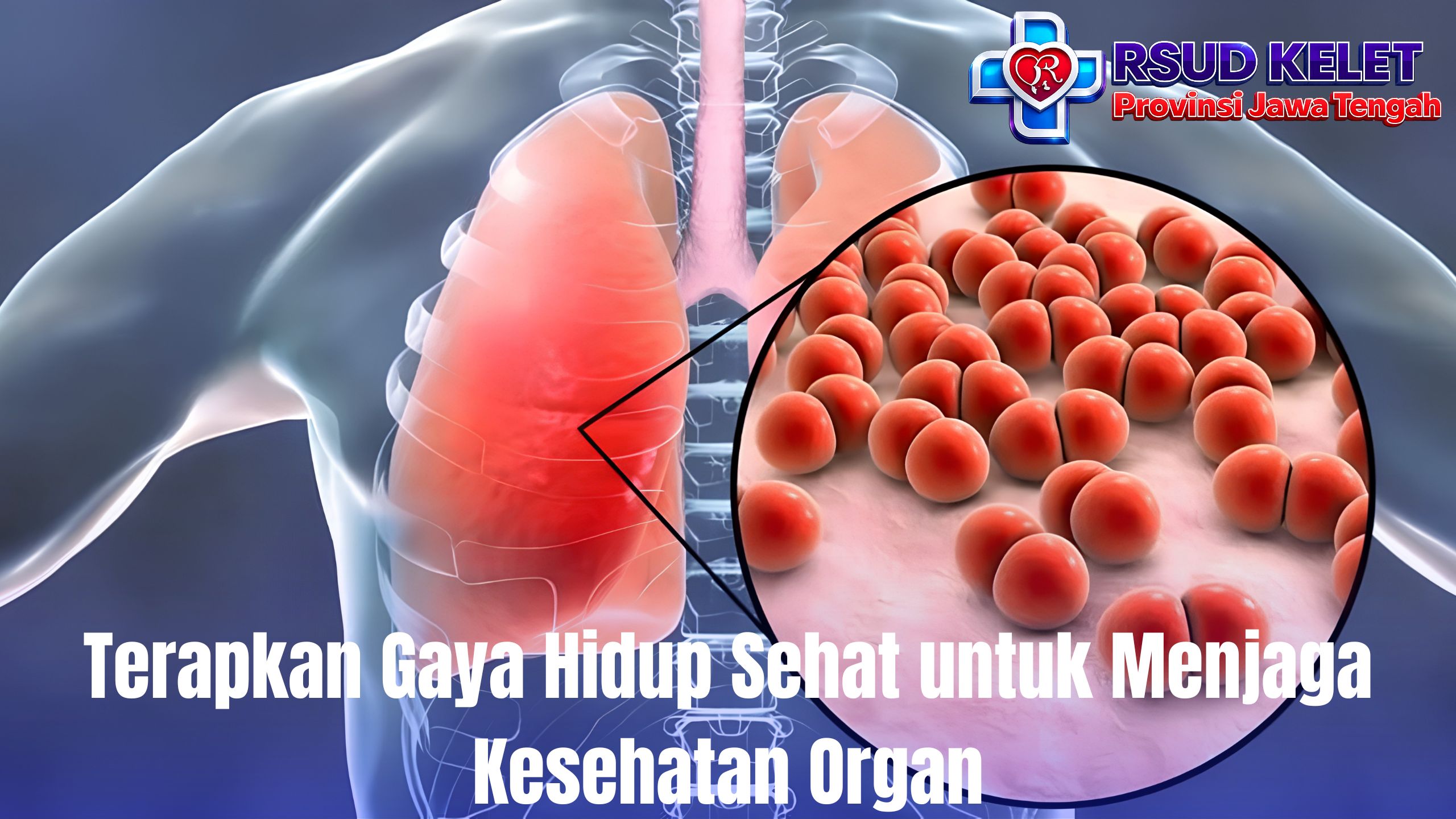 Terapkan Gaya Hidup Sehat untuk Menjaga Kesehatan Organ