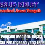 Mengenal Penyakit Meniere: Gejala, Penyebab, dan Penanganan yang Tepat